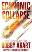 ecomomic collapse